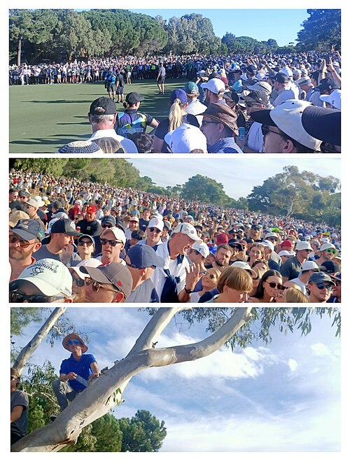 LIV Golf Invitational Series